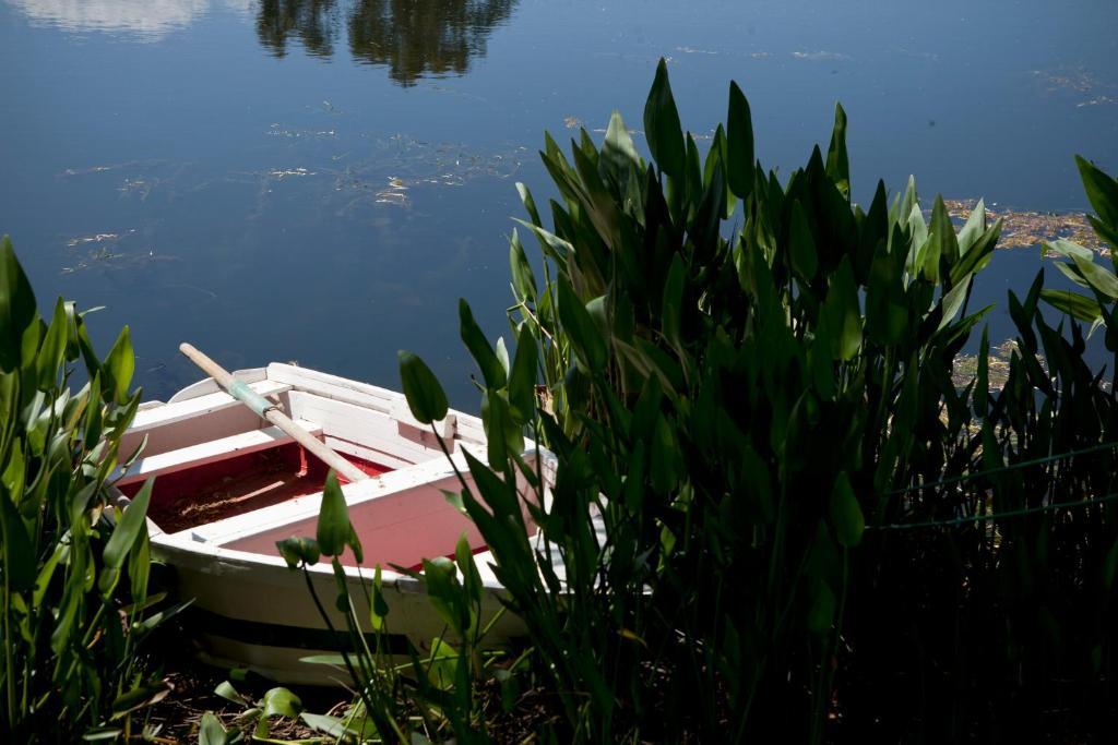 Herdades Da Frupor - Casas De Campo Brejao Esterno foto